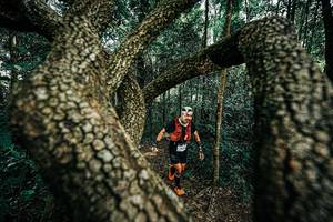 BIB: 
                            <button type="button" onclick="openModal(25394214)" class="btn btn-primary btn-sm float-right btn-popup" data-toggle="modal" data-target=".modal-high-quality">
                        <i class="fas fa-shopping-cart"></i> Add to Cart
                    </button>
                                            <button type="button" onclick="isThisMe(25394214, true)" class="btn btn-success btn-sm float-right btn-popup btn-isme hidden" data-toggle="tooltip" data-placement="bottom" title="นี่คือรูปของคุณใช่ไหม คลิกที่นี่เพื่อเอาเข้าอัลบั้ม">
                        <i class="fas fa-plus"></i> Add to album
                    </button>
                    <button type="button" onclick="isThisMe(25394214, false)" class="btn btn-warning btn-sm float-right btn-popup btn-isnotme hidden">
                        <i class="fas fa-ban"></i> Remove from album
                    </button>